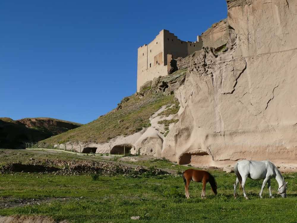 Kars’ın Tarihi İncisi: Selçuklu Sarayı 1