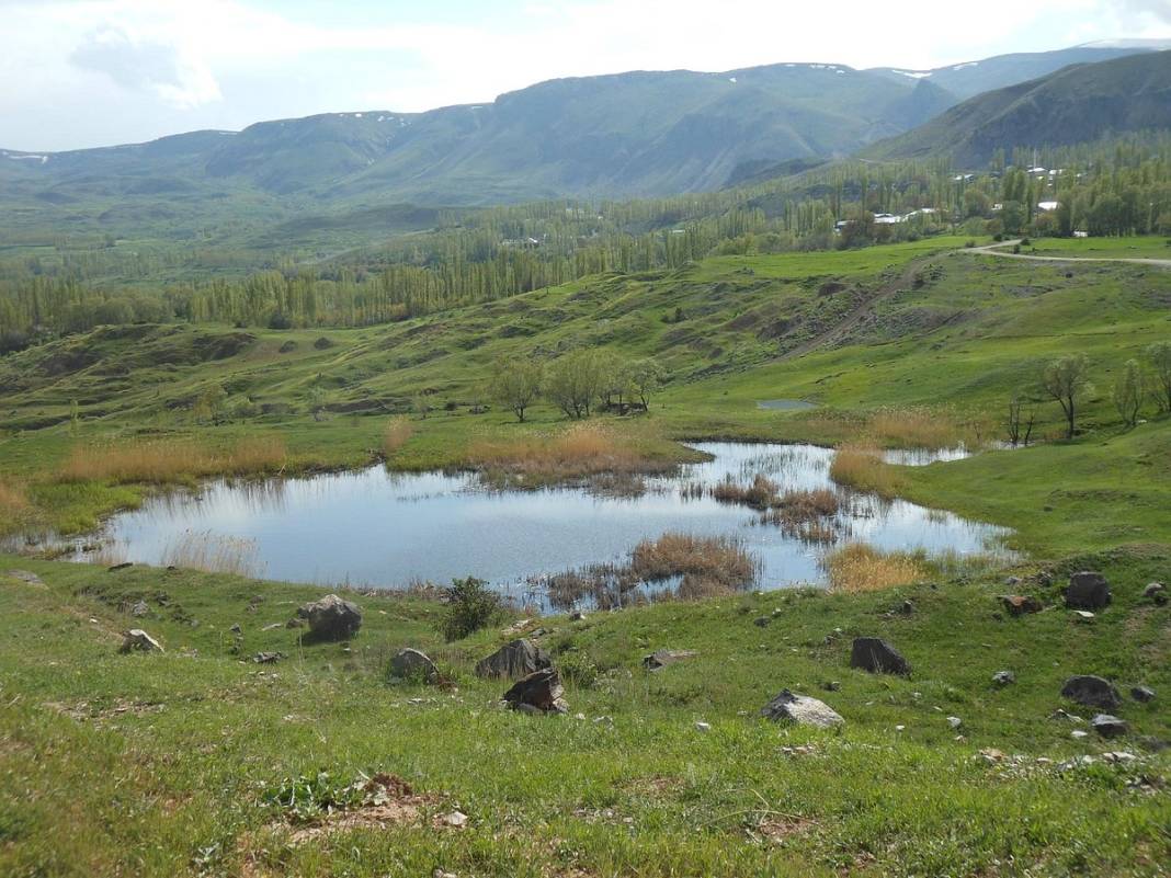 Kars'ın Tarihi Hazineleri: Çamuşlu Kaya Resimleri 5