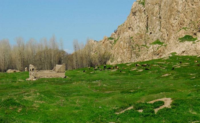 Van'da Tarihin Sessiz Tanığı: Abbas Ağa Camii 4