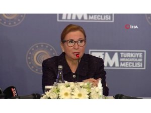 Bakan Pekcan: "Yüzde 9,6 artışla 16 milyar 12 milyon dolar olarak gerçekleşmiştir"