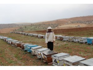 Devlet desteği ile 40 kovanla başladı, şimdi 300 kovanı var