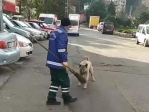 Temizlik görevlisi köpekle olan güldüren kovalamacasını anlattı