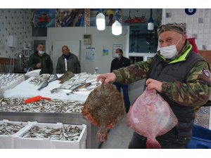 Kalkan balığı tadımlık oldu, fiyatı cep yakıyor