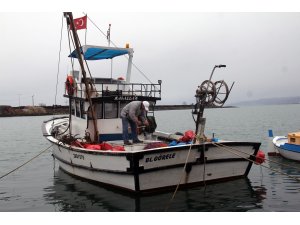 Giresunlu balıkçılar bu sezon balık av sezonundan istediği verimi alamadı