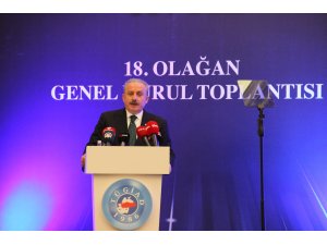 TBMM Başkanı Mustafa Şentop: ’’Salgında Türkiye dünyadaki müstesna birkaç ülkeden biri oldu’’