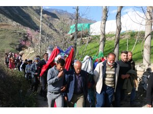 Şırnak’ta unutulmaya yüz tutan gelenek yaşatılıyor: Gelini ata bindirip damat evine götürdüler