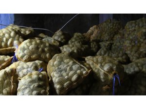 Toprak Mahsulleri Ofisi, patates alımını sürdürüyor, çiftçiler durumdan memnun