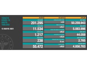 Son 24 saatte korona virüsten 238 kişi hayatını kaybetti