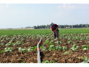 Tarım-ÜFE aylık yüzde 0,79 azaldı