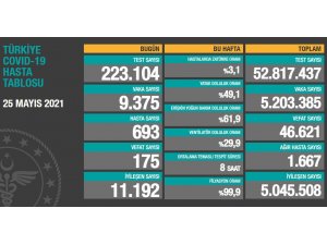 Son 24 saatte korona virüsten 175 kişi hayatını kaybetti