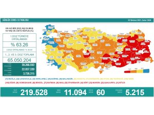 Son 24 saatte korona virüsten 60 kişi hayatını kaybetti