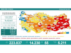 Son 24 saatte korona virüsten 55 kişi hayatını kaybetti