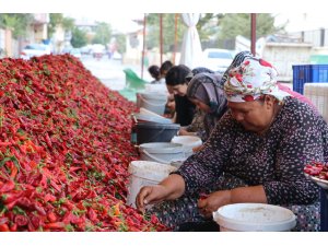 Kadınların ’en acı’ mesaisi