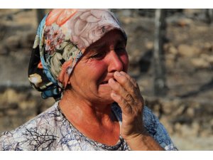 Yangınla boğuşan kardeşine yardıma gitti, döndüğünde evi ve koyunlarını yanmış halde buldu