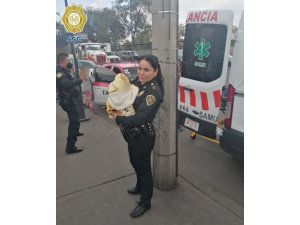 Mexico City’de takside sancısı tutan hamile kadına polis doğum yaptırdı