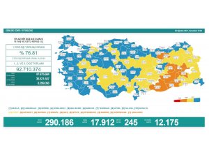 Son 24 saatte korona virüsten 245 kişi hayatını kaybetti