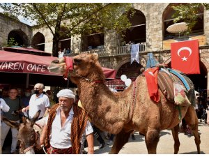 6 asırlık handa develi koza mezadı