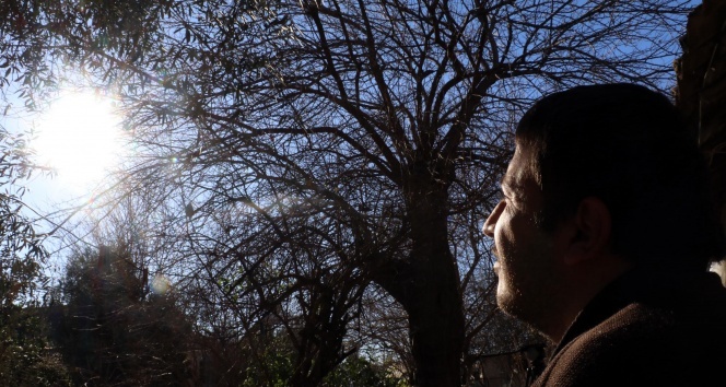 Romazitizma hastası güneşi görmek için 17 yıl bekledi