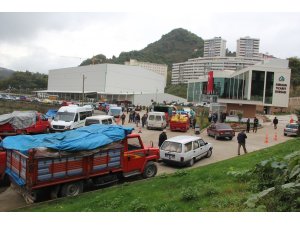 TMO Giresun’da fındık alımlarına başladı