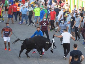 İspanya’da Covid-19 salgının başından bu yana ilk boğa koşusu yapıldı