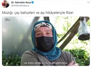 Sağlık Bakanı Koca, Rize’de çay bahçesinde aşılama işlemini paylaştı