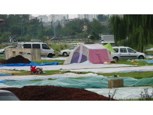 Soydan: “Islanan fındıkta çürüme riski çok artıyor”