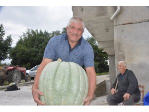 Bahçesinde 50 kiloluk bal kabağı yetiştirdi