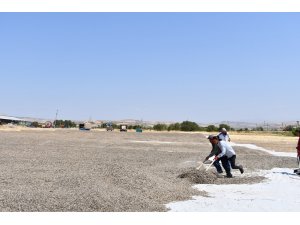 Tunceli’de ürün hasadı çiftçilerin yüzünü güldürdü