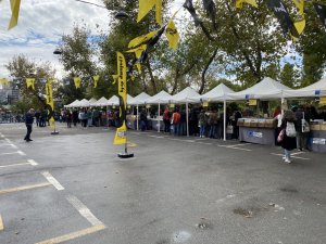 İstanbul’da plak severler Kadıköy’de buluştu