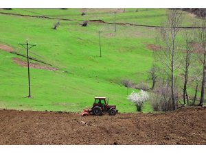 Ordu’da üreticilere 54,5 ton tohum dağıtıldı