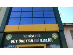 Süt fiyatlandırmada yeni dönem başlıyor