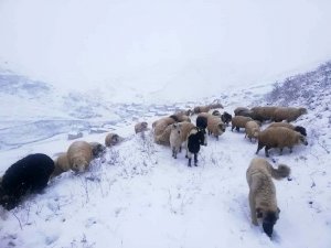 Bayburt’un yüksek kesimleri beyaza büründü