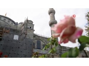 Sultanahmet Camii restorasyonunda sona yaklaşıldı