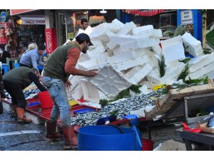 Hamsinin kilosu 5 TL’ye düştü, dakikalar içerisinde tonlarca satıldı