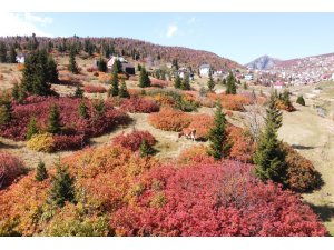 Sis Dağı’ndan sonbahar manzaraları