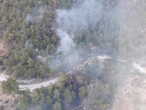 Muğla’daki orman yangını kontrol altına alındı