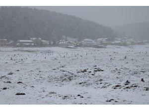 Bolu’da yoğun kar yağışı