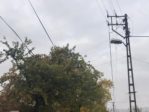 Ağaçların arasında kalan elektrik telleri tehlike saçıyor, vatandaşlar çözüm bekliyor