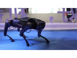 Çin’de 5G+ Endüstriyel İnternet Konferansı’nda robot köpek tanıtıldı