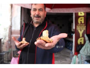 Doğal mantar, çıntarlar tezgahlarda yerini aldı