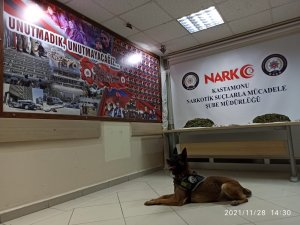 Narkotik köpeği “Ceku” buldu, 4 kilogram esrar ele geçirildi