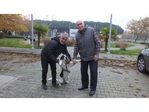 İstiklal Marşı okunurken eşlik eden köpek ilgi odağı oldu