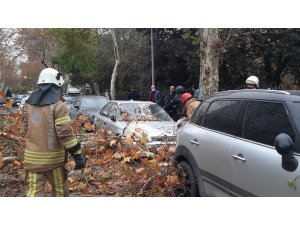 Beşiktaş’ta şiddetli rüzgarla devrilen ağaç, otomobilin üzerine düştü