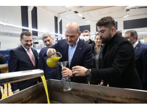 Bakan Soylu zeytinin zeytinyağına ait serüveni izledi