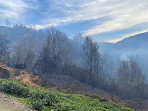 Rize’nin Fındıklı ilçesinde yangın