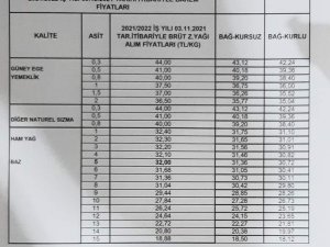 Zeytinyağı fiyatları, bir ayda en yüksek rakama ulaştı