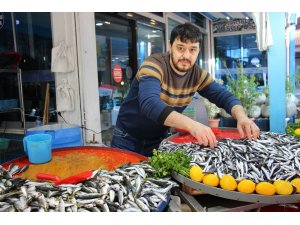 Aydın’da balık tezgahlarının yıldızı ’hamsi’ oldu