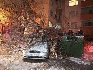 Aksaray’da etkili olan kar yağışı ağaçları devirdi