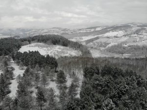 Düzce’nin kar manzarası mest etti