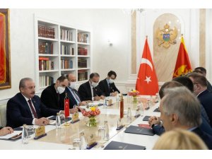 TBMM Başkanı Şentop, Karadağ Karadağ Parlamento Başkanı Beçiç ile görüştü